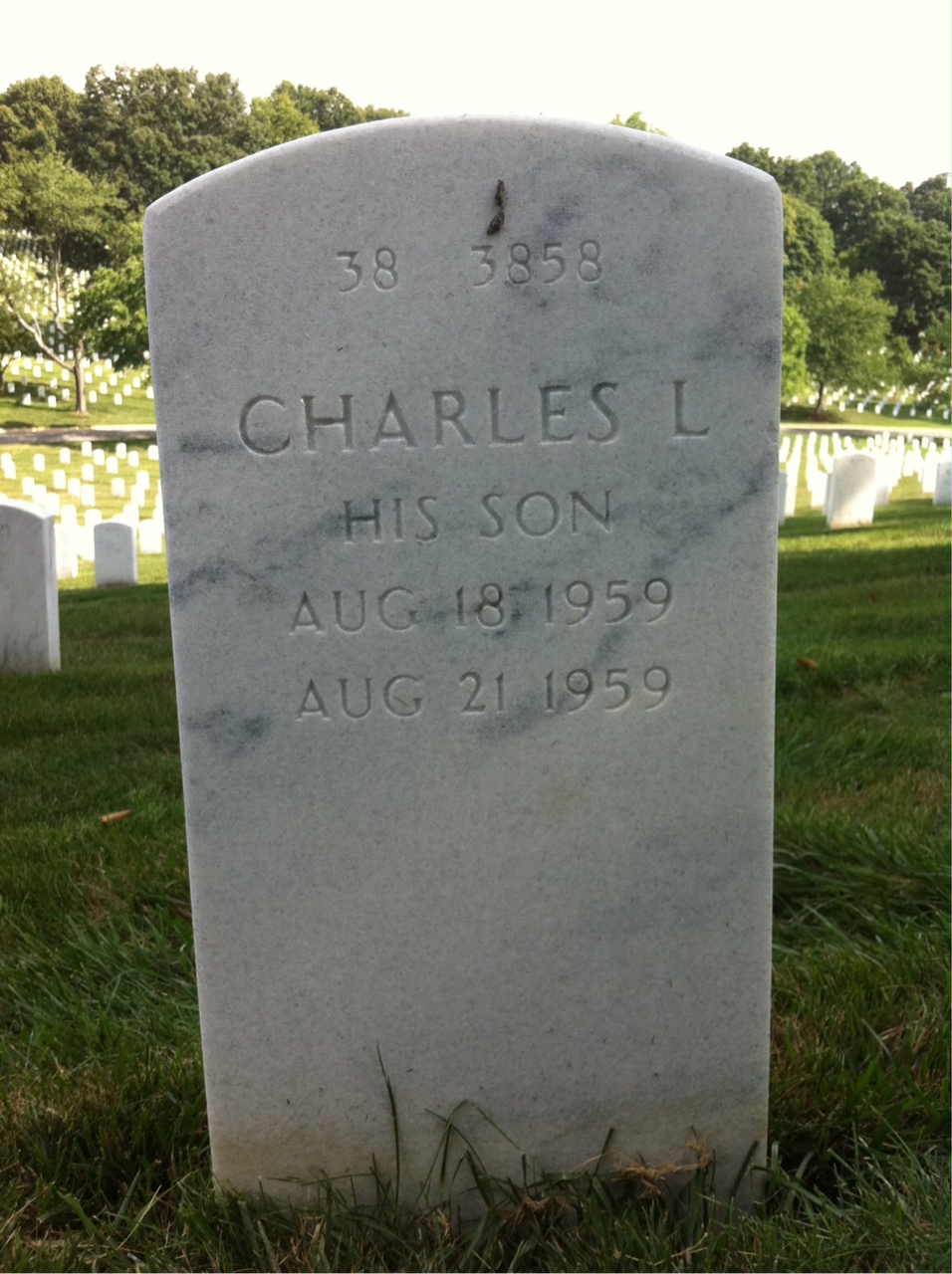 Back of headstone — Robert Mountain
