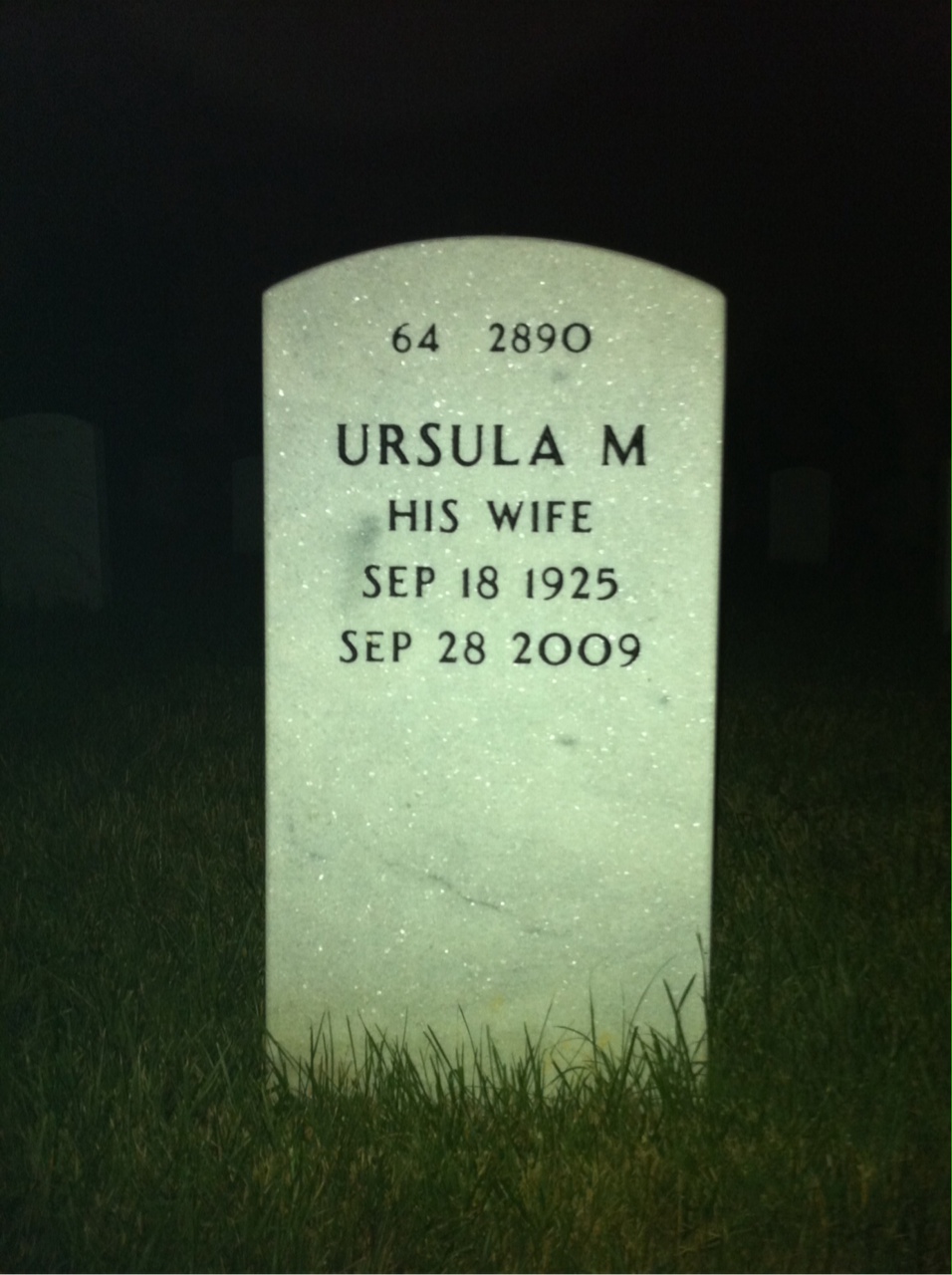 Back of headstone — Samuel Tomlin