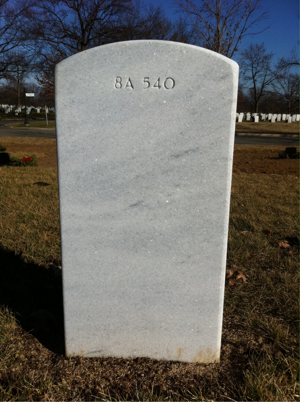 Back of headstone — Wesley Lyons