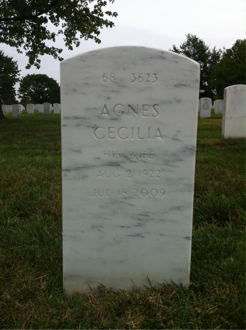 Back of headstone — Lyman Harris