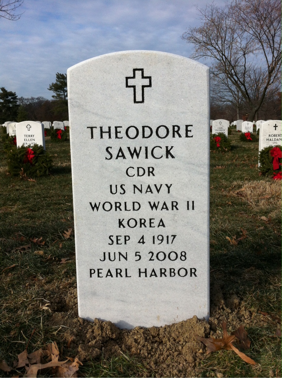Theodore Sawick