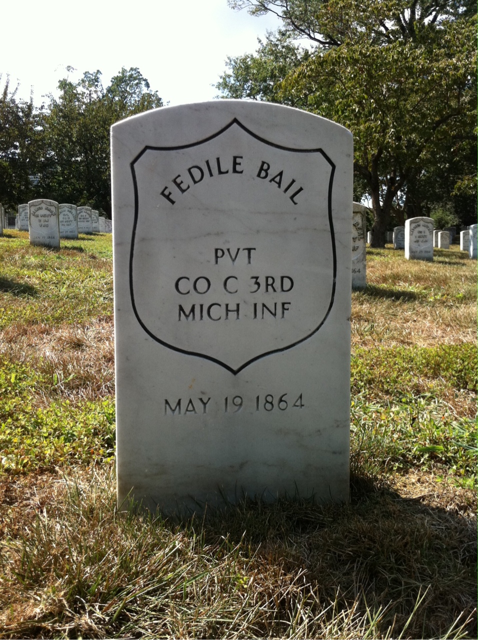 Fedile Bail
