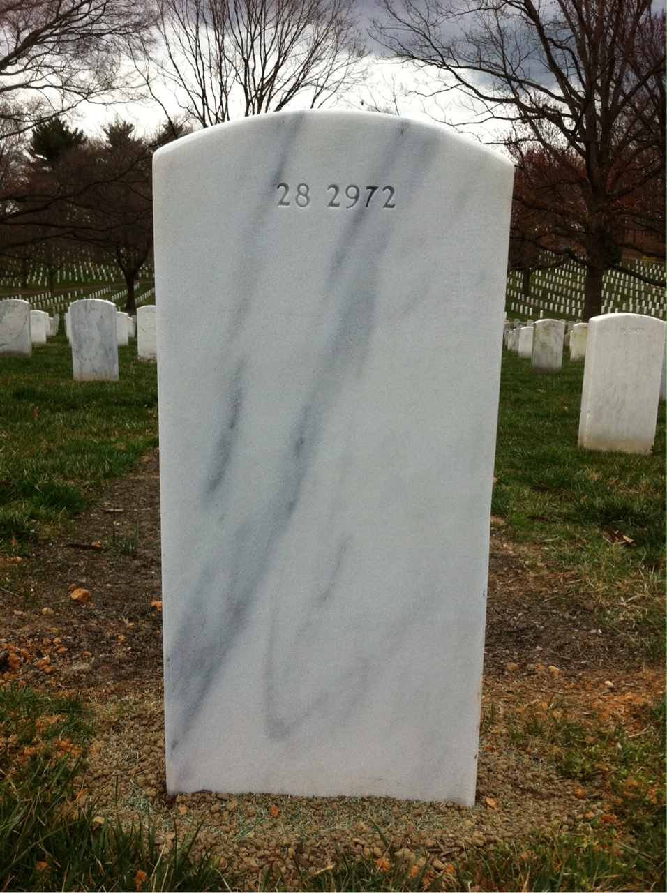 Back of headstone — Gene Arnold