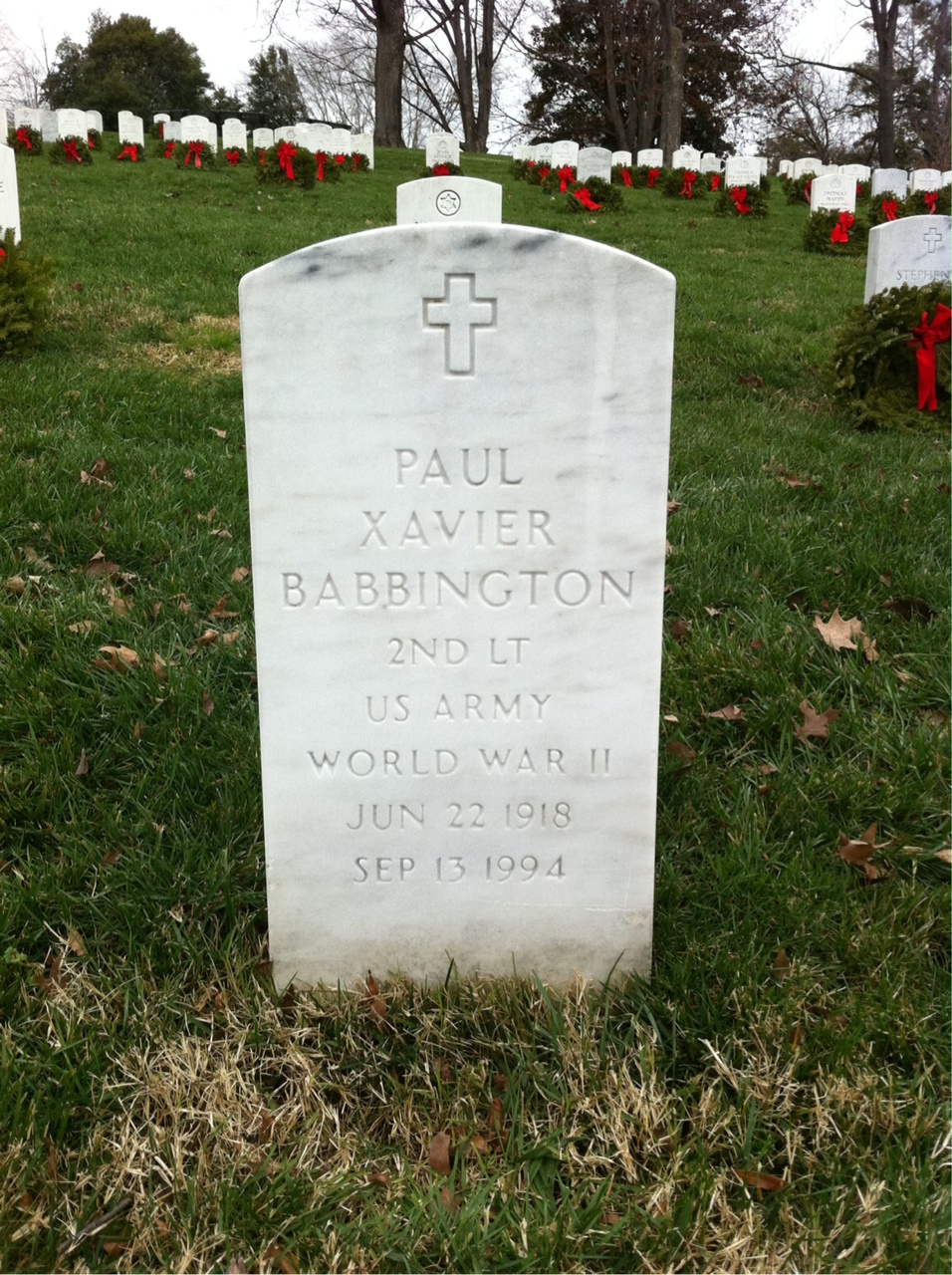 Ann Babbington