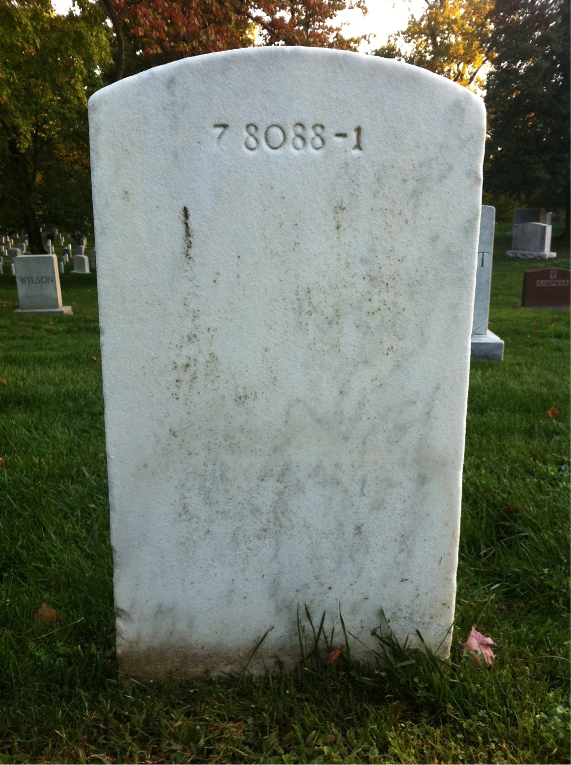 Back of headstone — George Botts