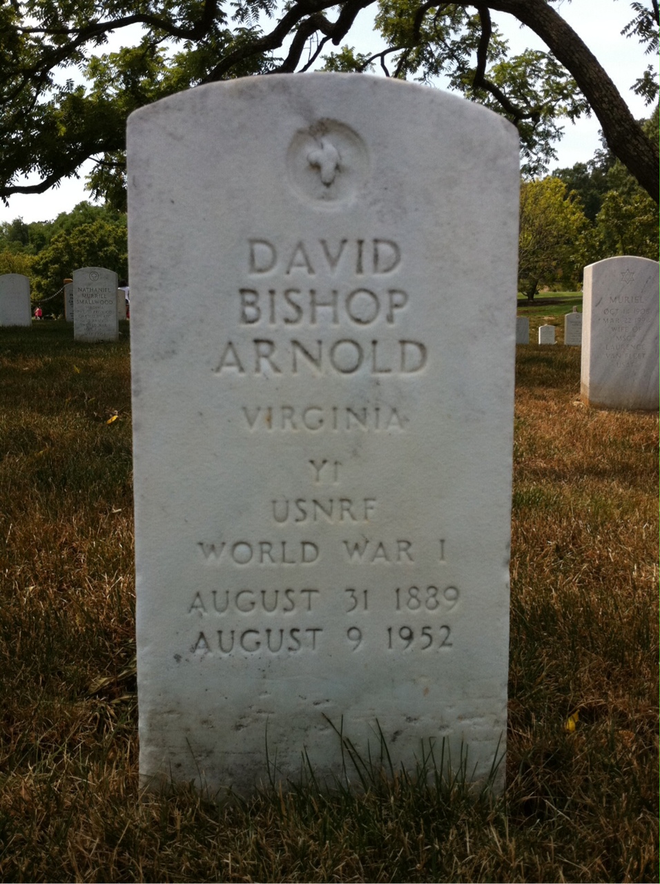 David Arnold