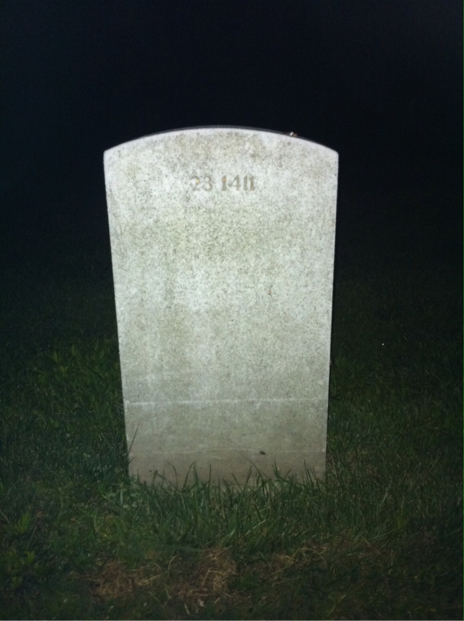 Back of headstone — Harry Moltz