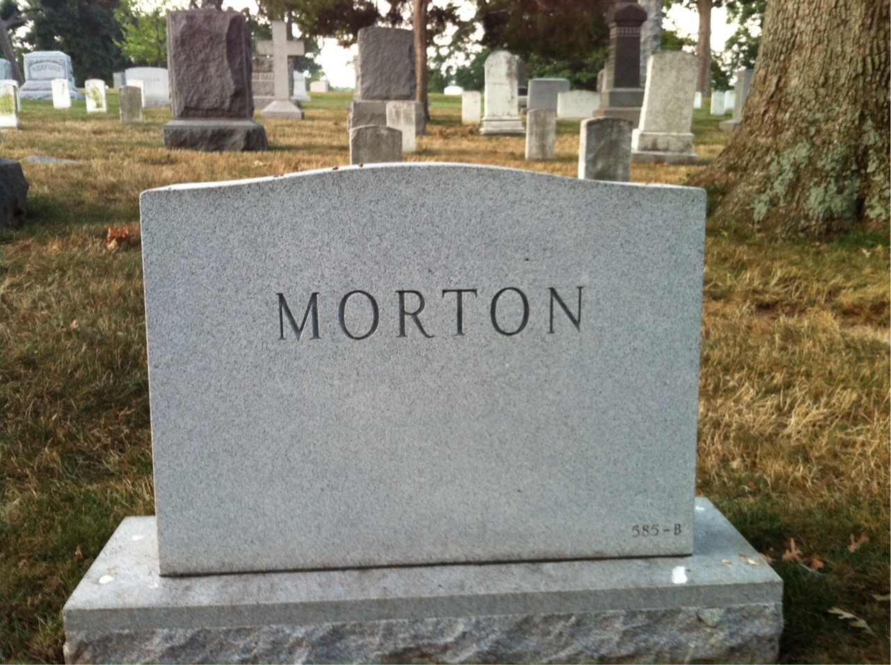 Back of headstone — Lew Morton