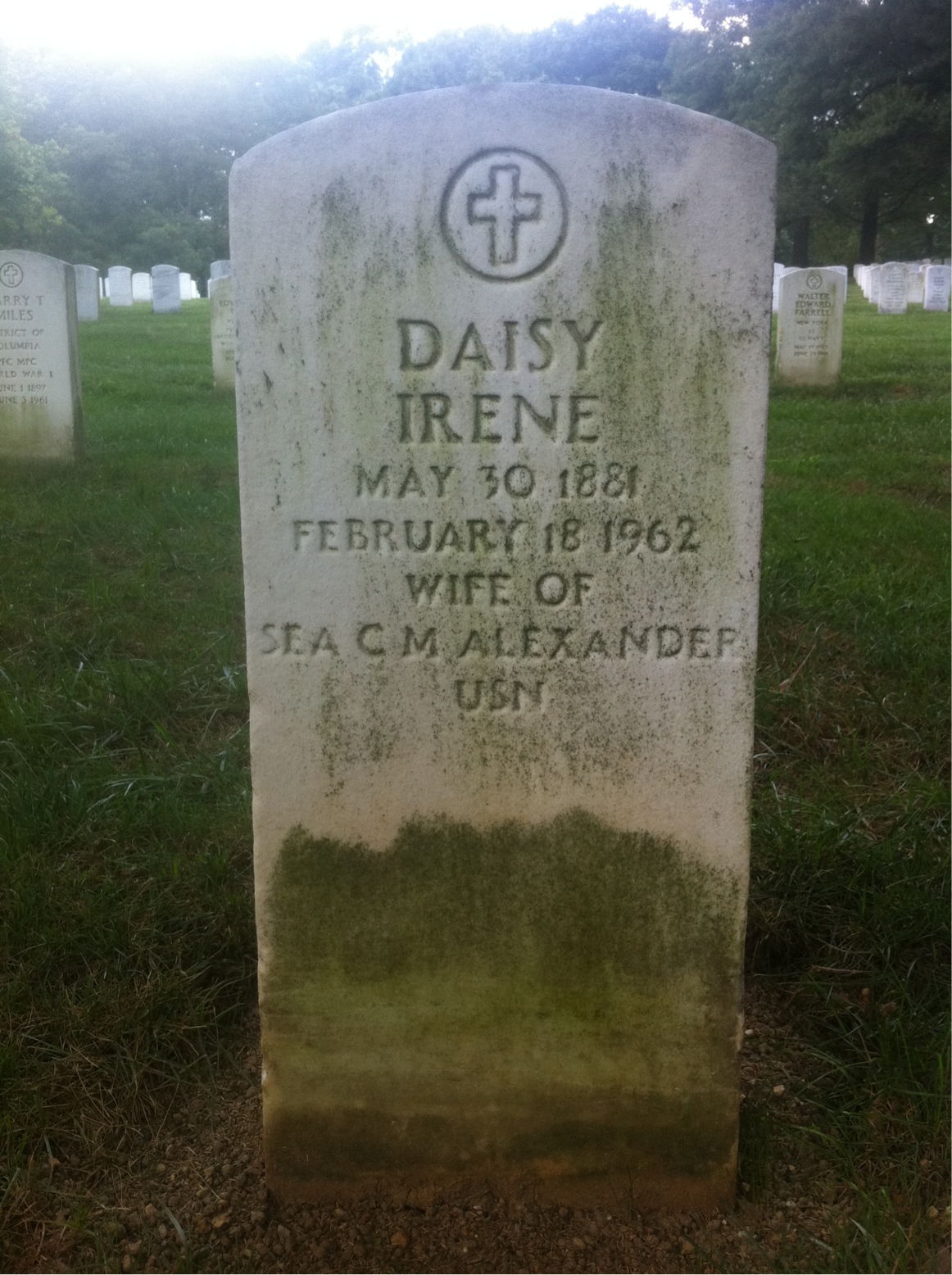 Daisy Alexander