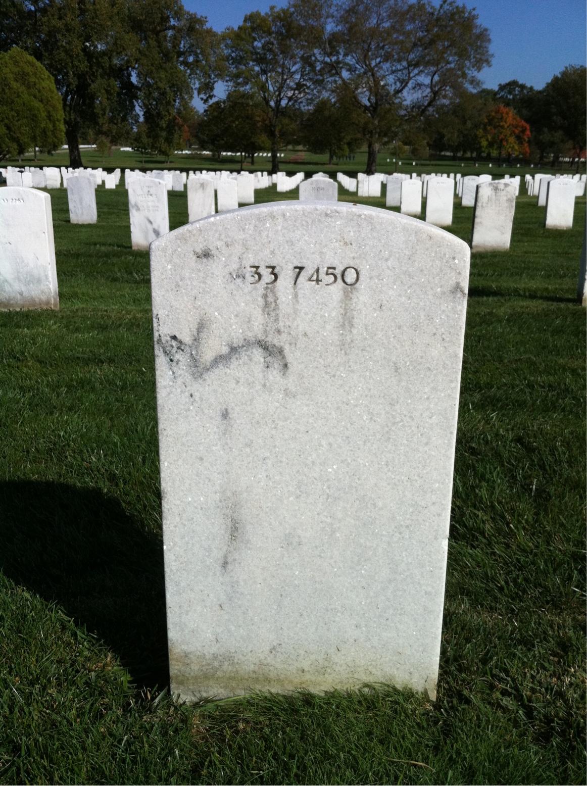Back of headstone — Frank Baldino