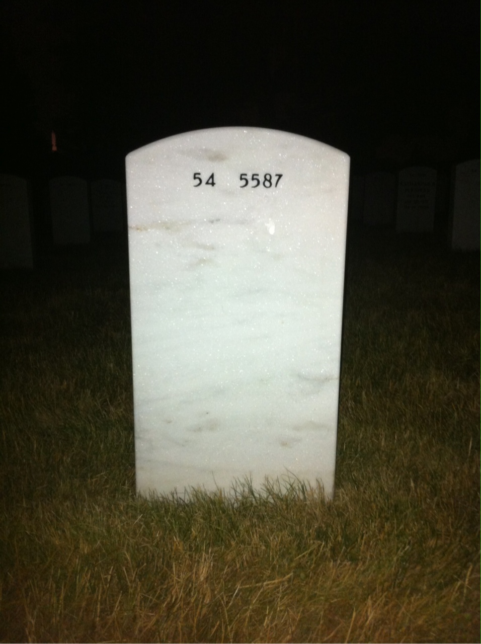 Back of headstone — Alex Budai