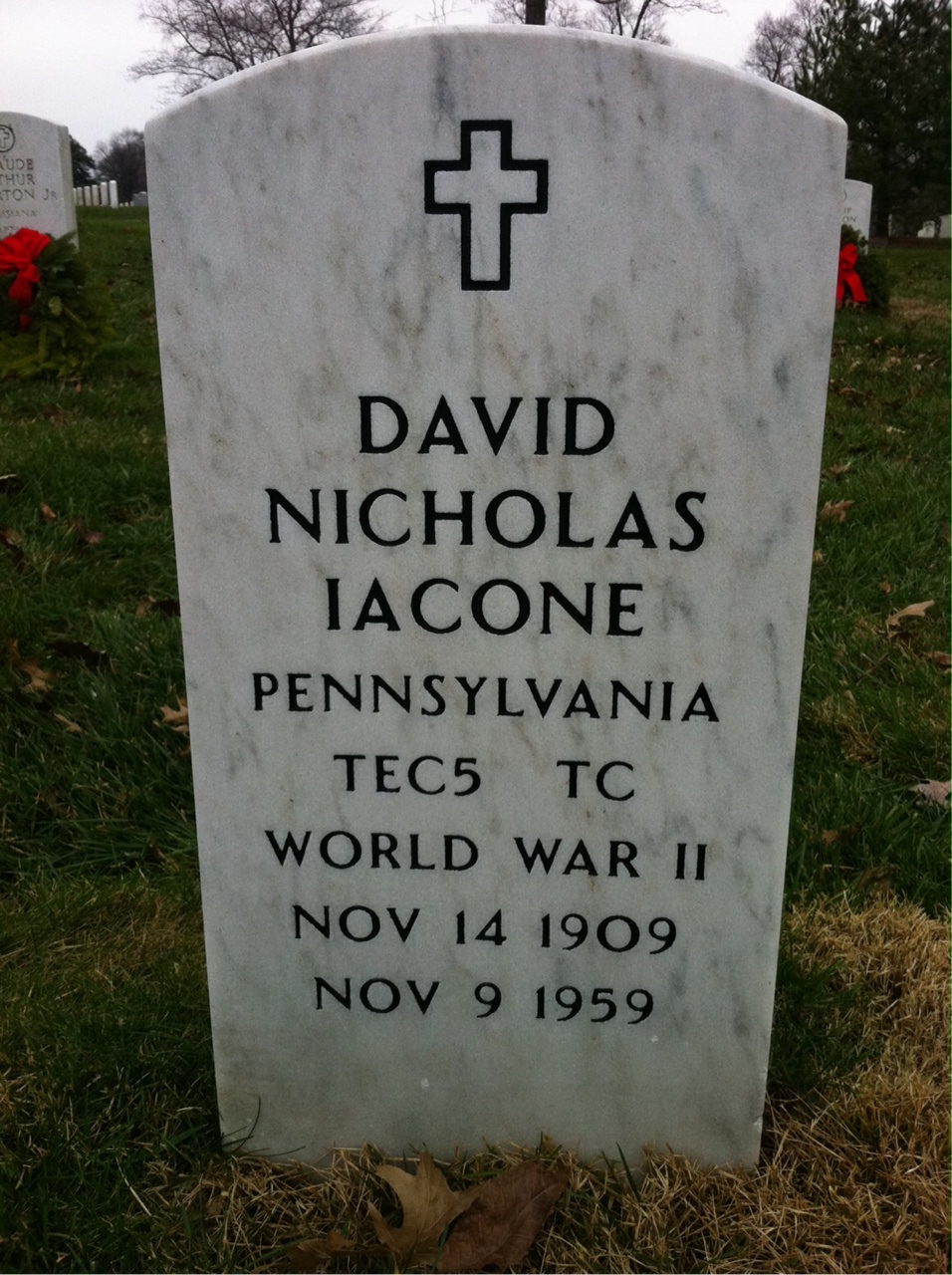 David Iacone