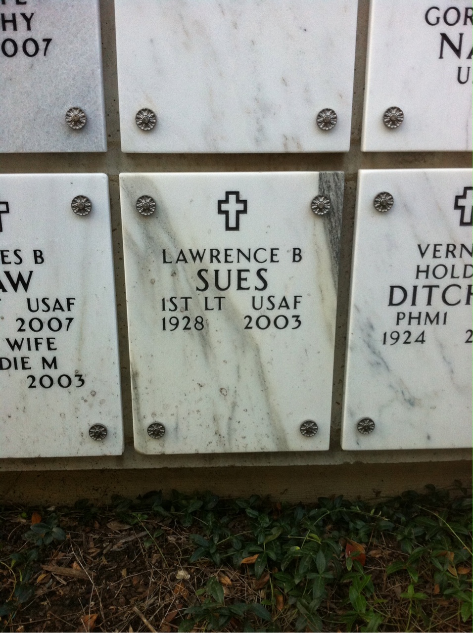 Lawrence Sues