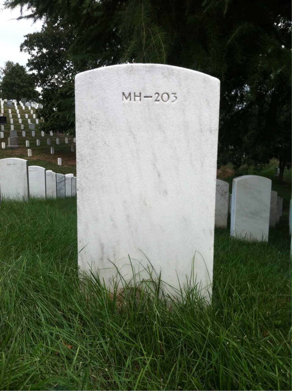 Headstone of Lee Dufford Harley