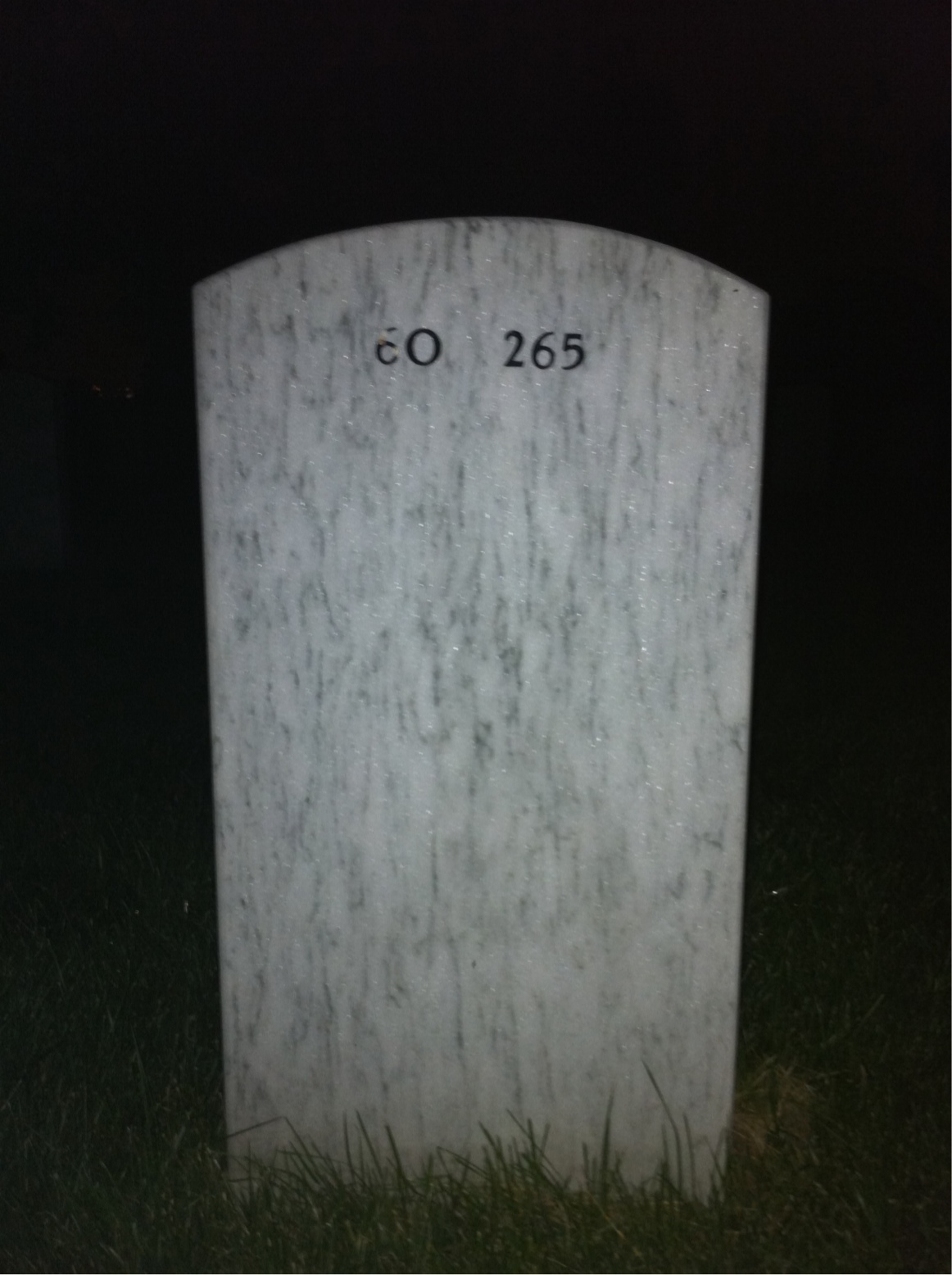 Back of headstone — Robert Young