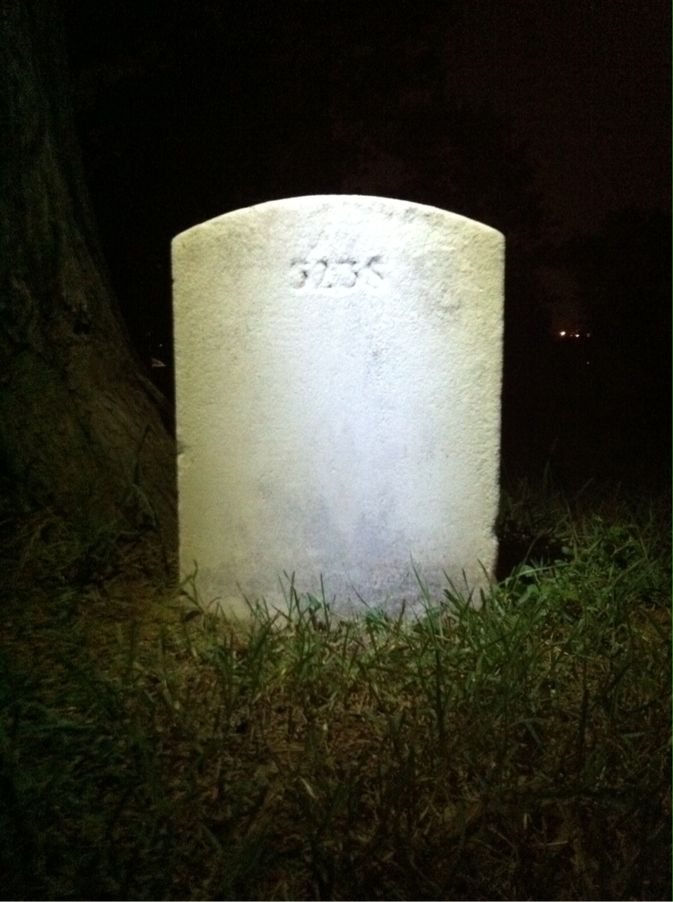 Back of headstone — William Schulze