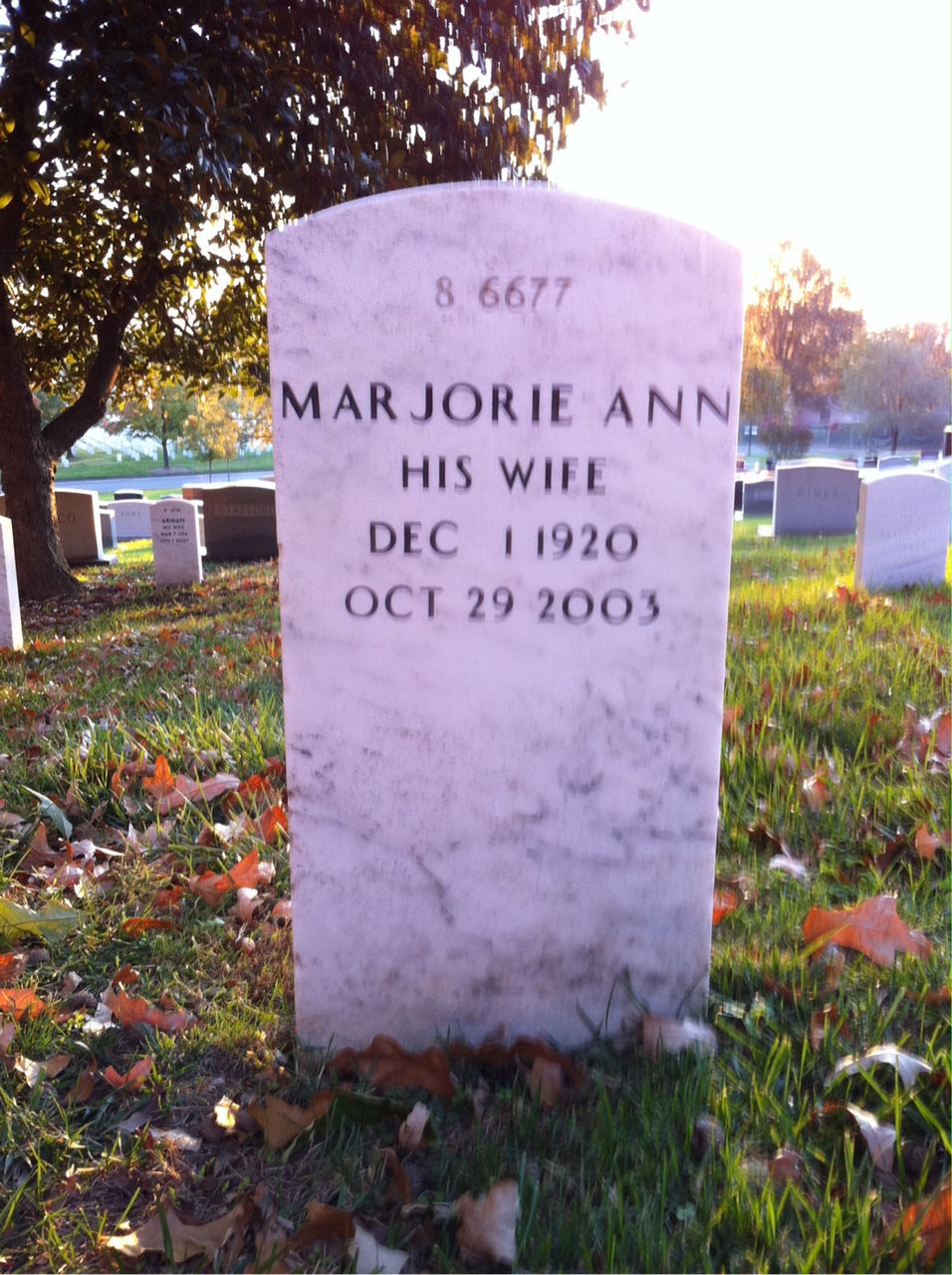 Back of headstone — Carl Lofgren