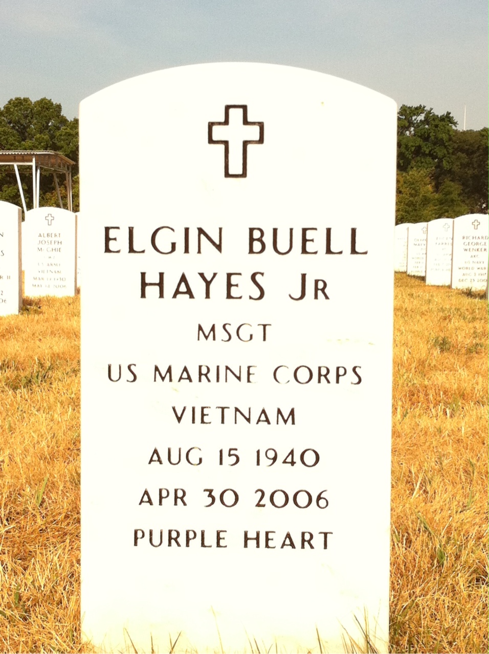 Elgin Hayes