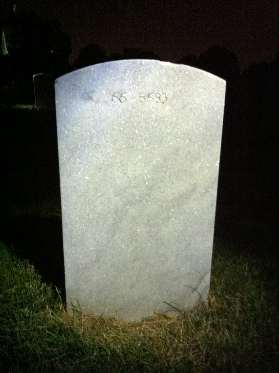 Back of headstone — William C Economos