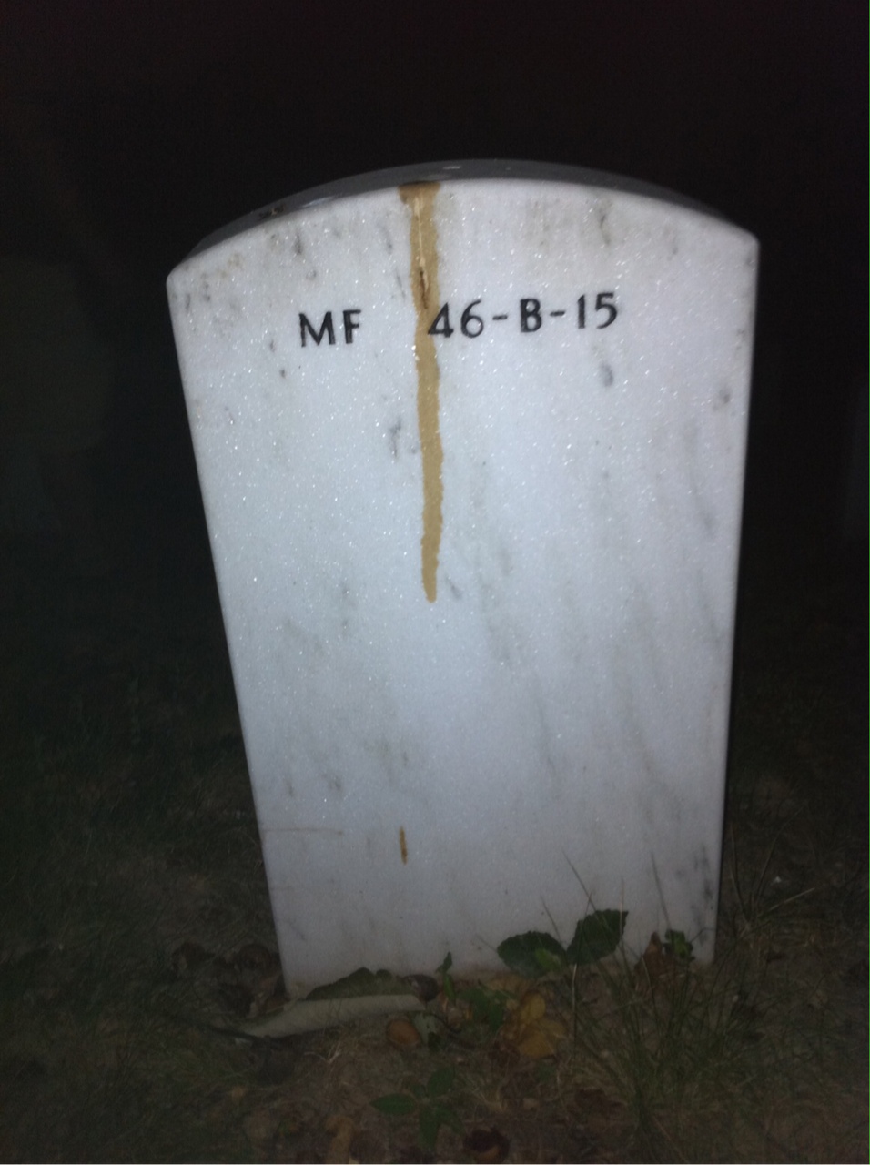 Back of headstone — Bernard Papeika