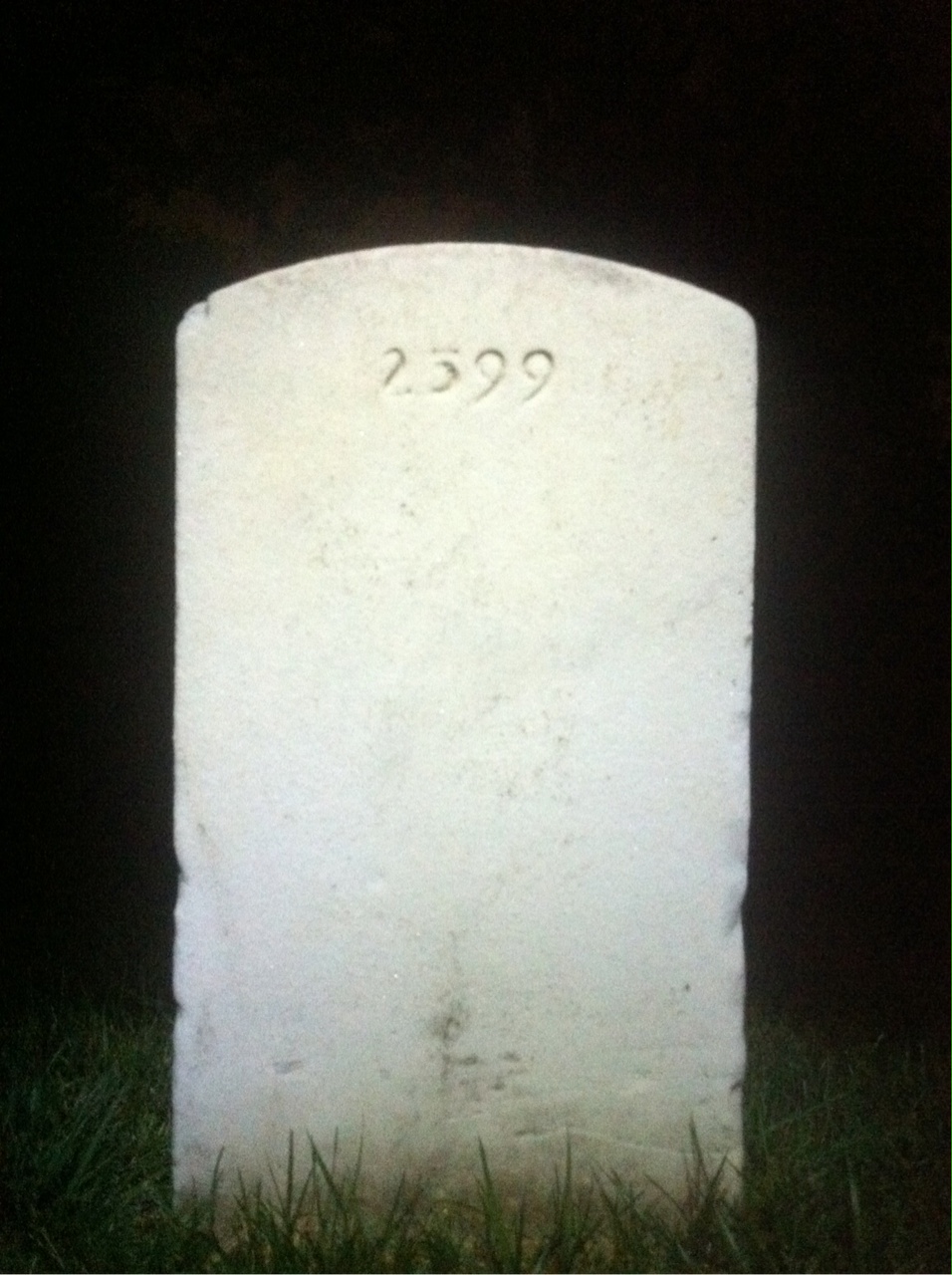 Back of headstone — Robert Arndt