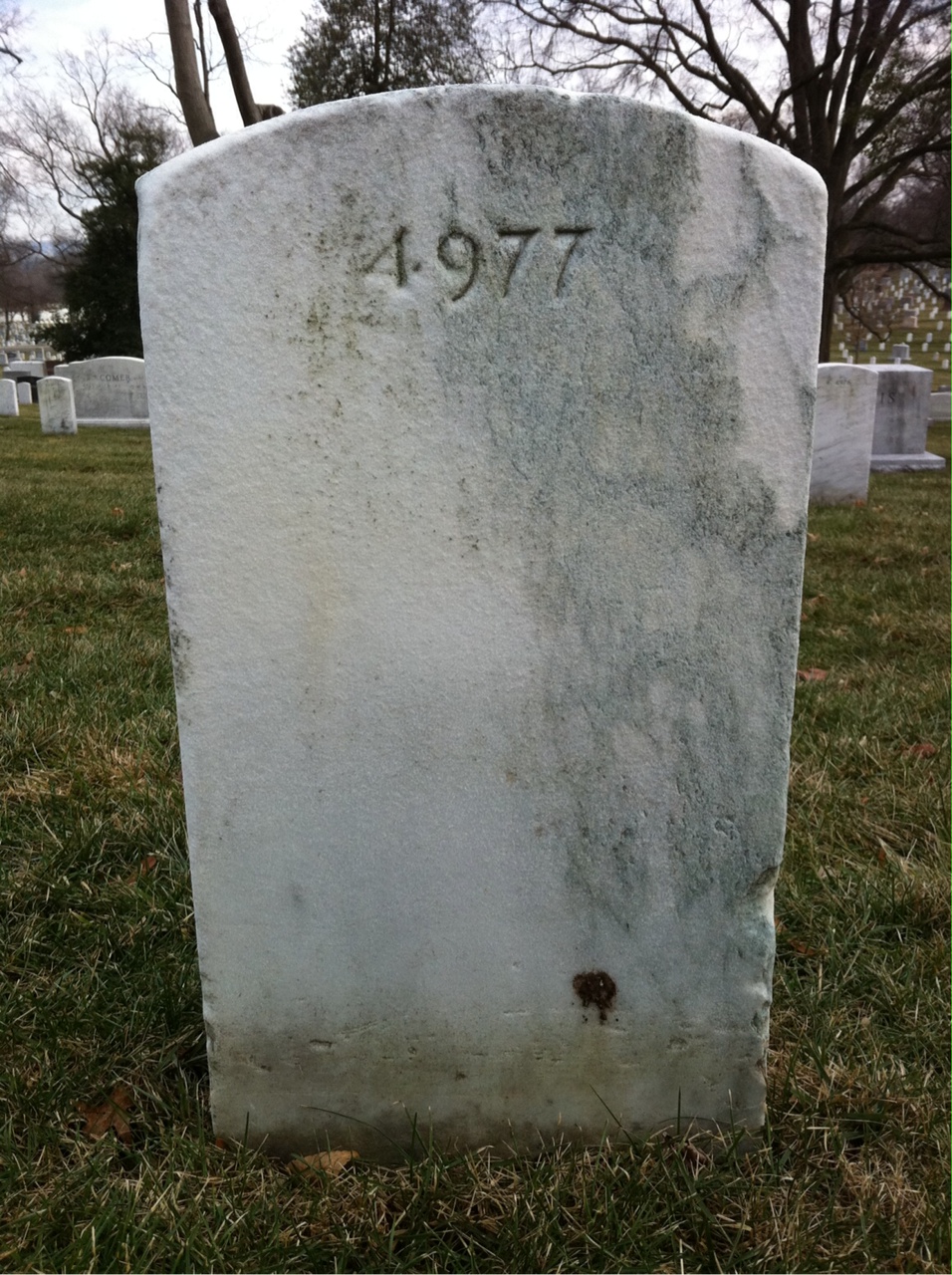 Back of headstone — Lawrence Alden
