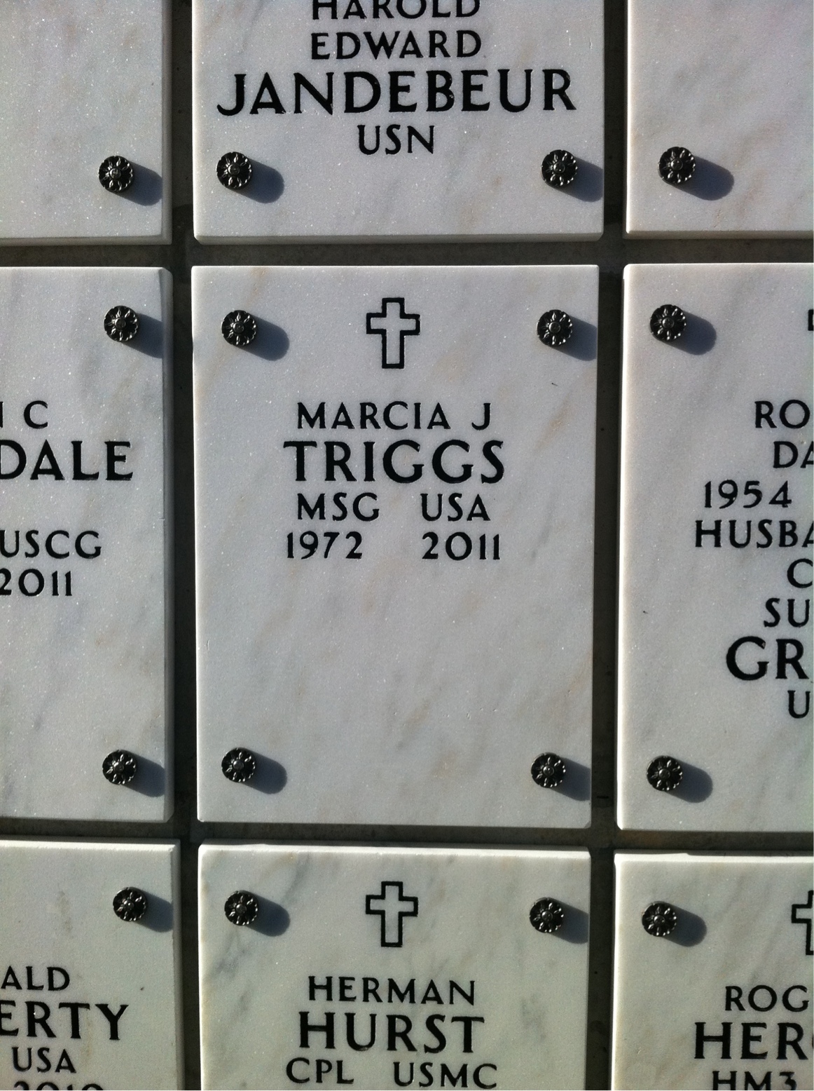 Marcia Jeanne Triggs