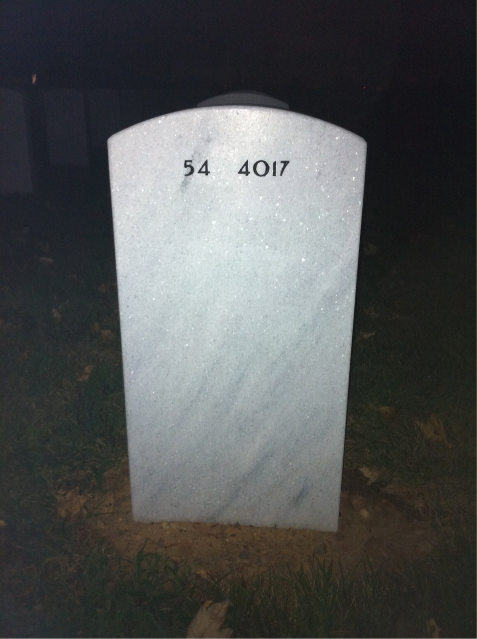 Back of headstone — William Stanley Johnson