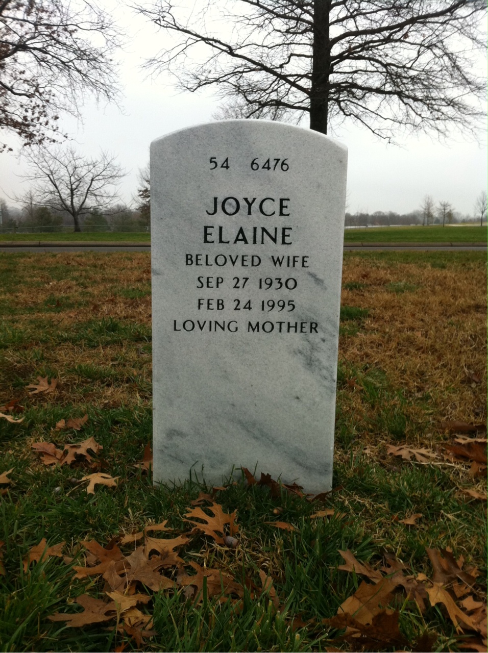 Back of headstone — Roger Voet