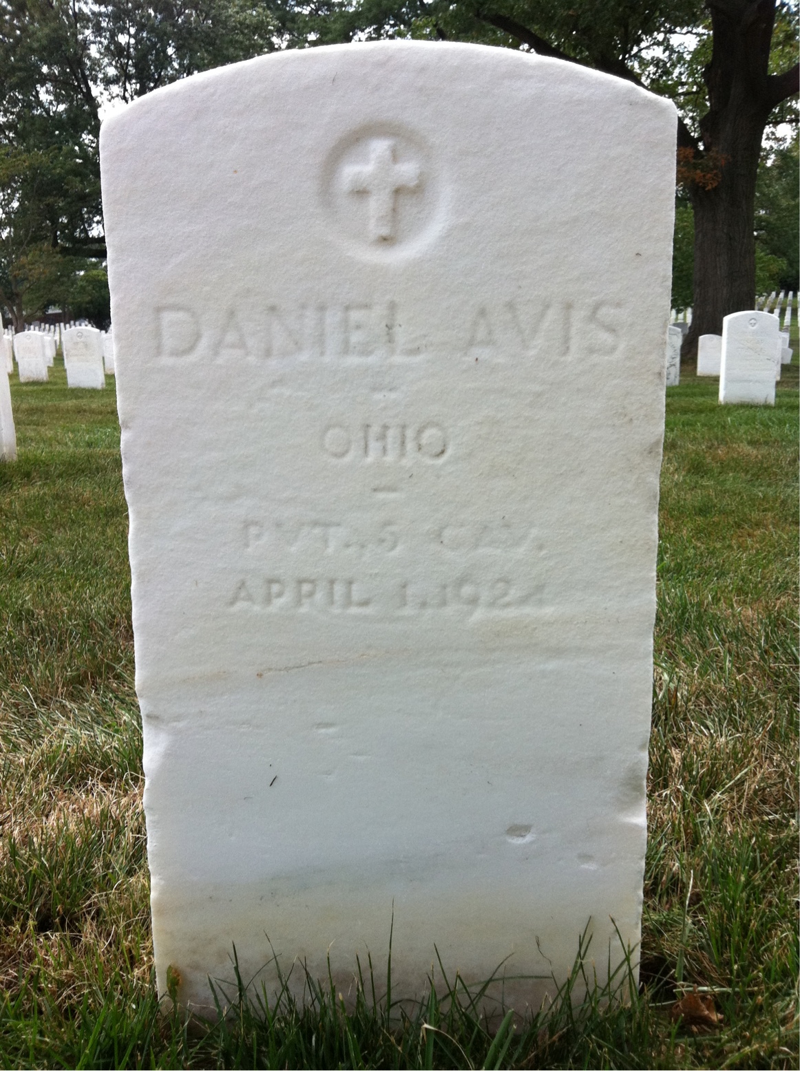 Daniel Avis