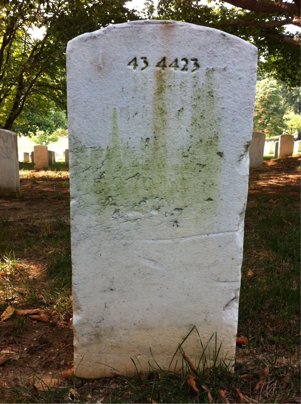 Back of headstone — Walter Mckenney
