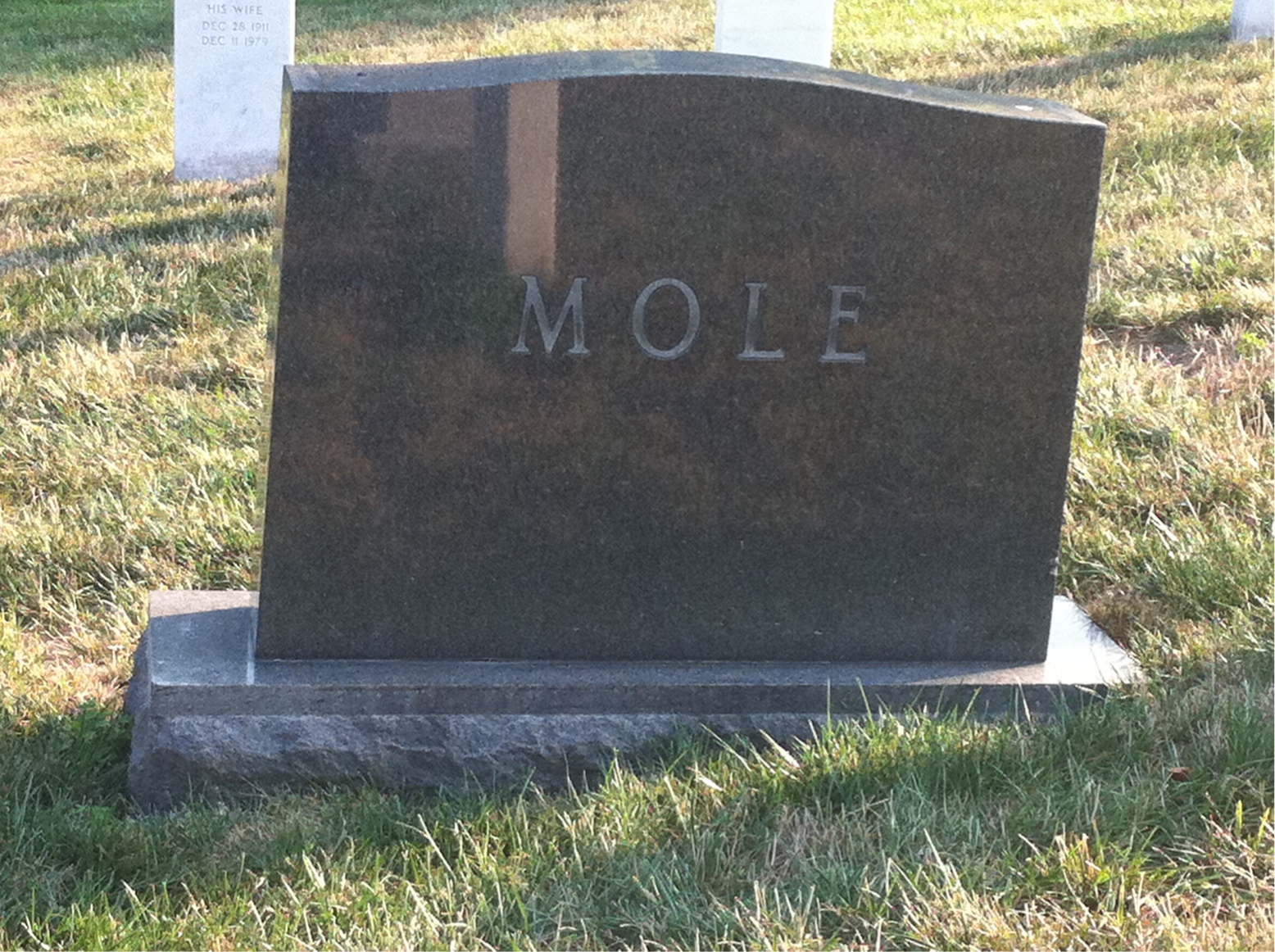Back of headstone — Jeannette Mole
