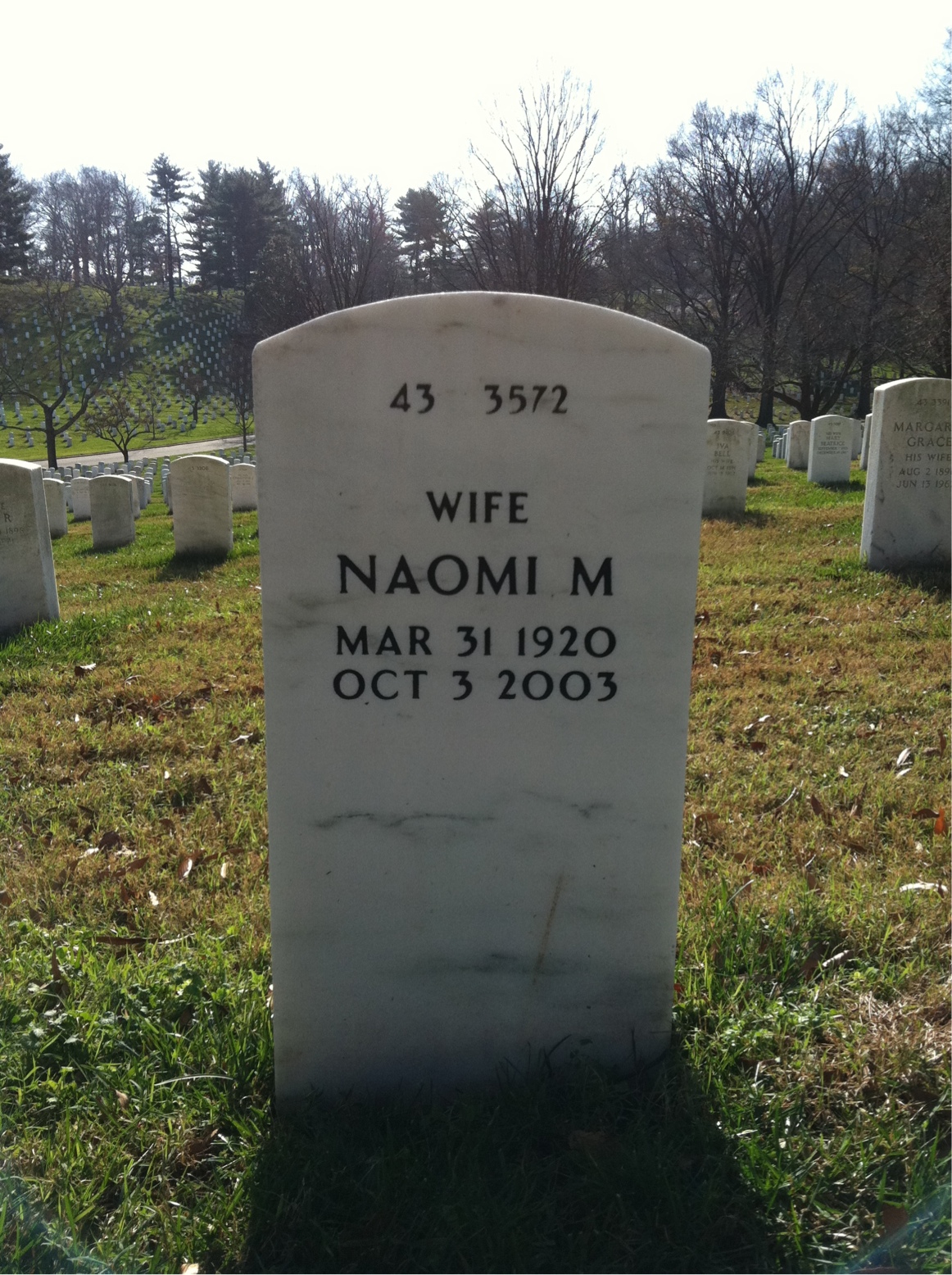Back of headstone — Walter Johnson