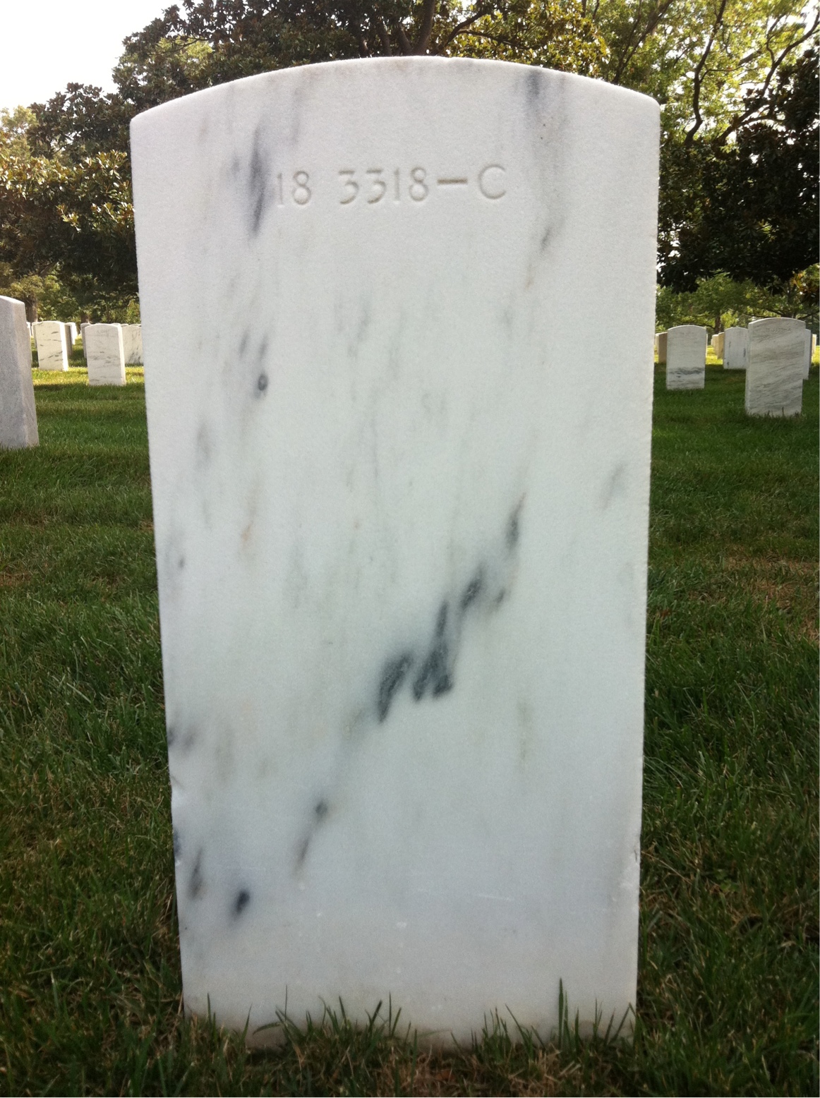 Back of headstone — Earl Minto