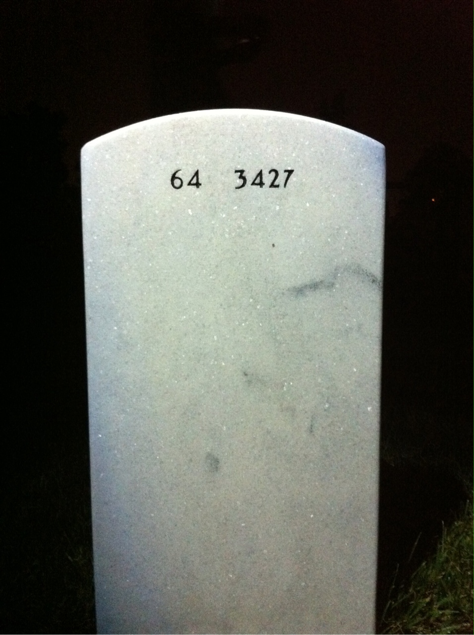 Back of headstone — Mark Coyle