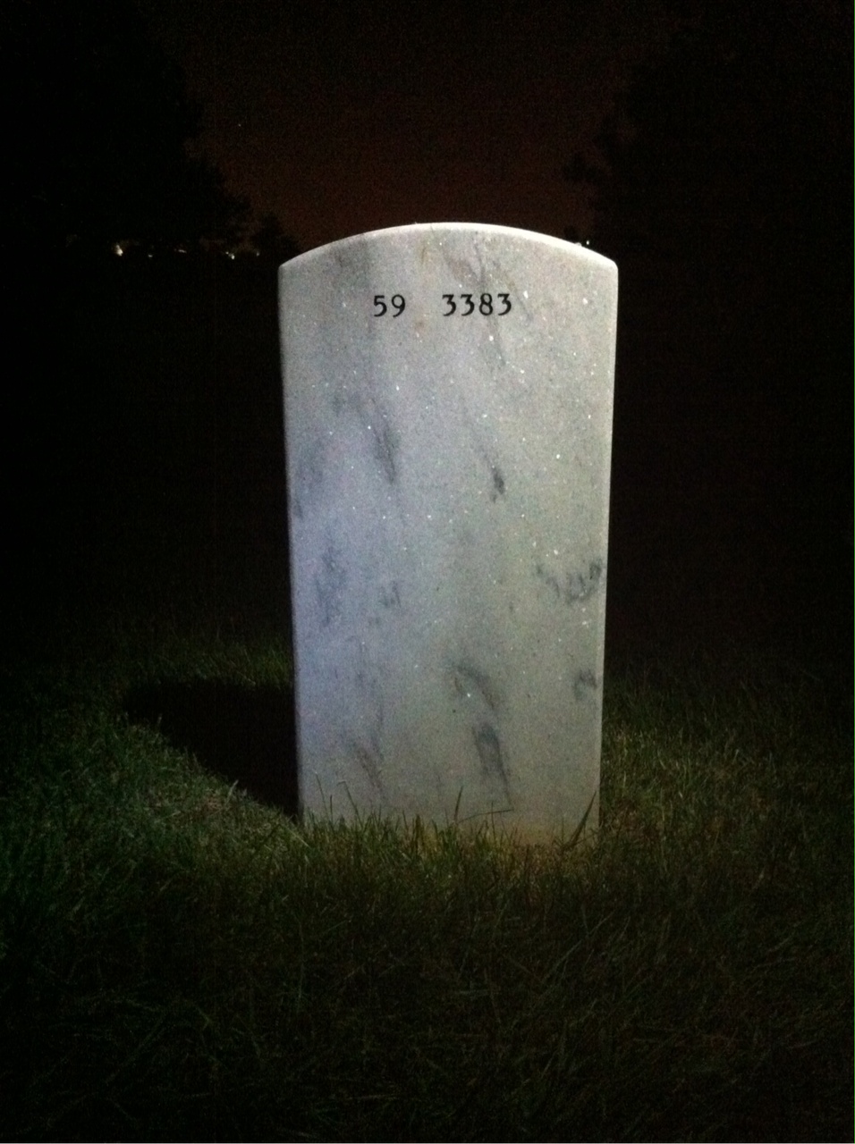 Back of headstone — Finley Hamilton