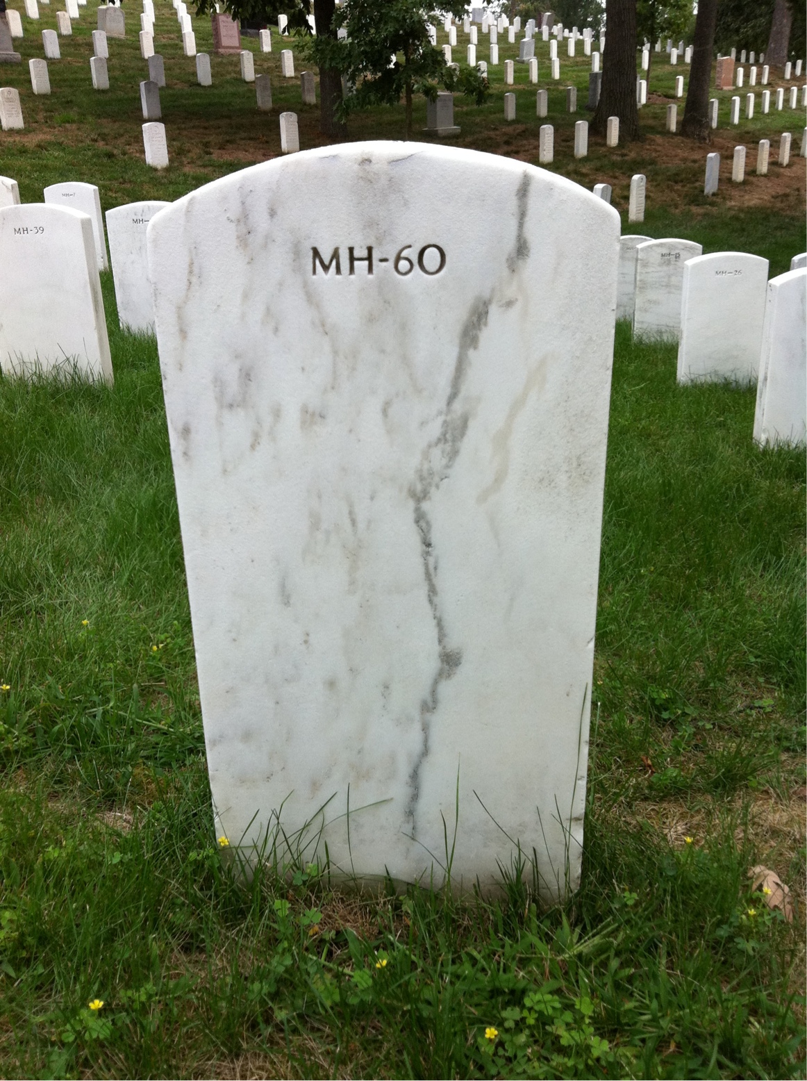 Back of headstone — William Thomas Wise