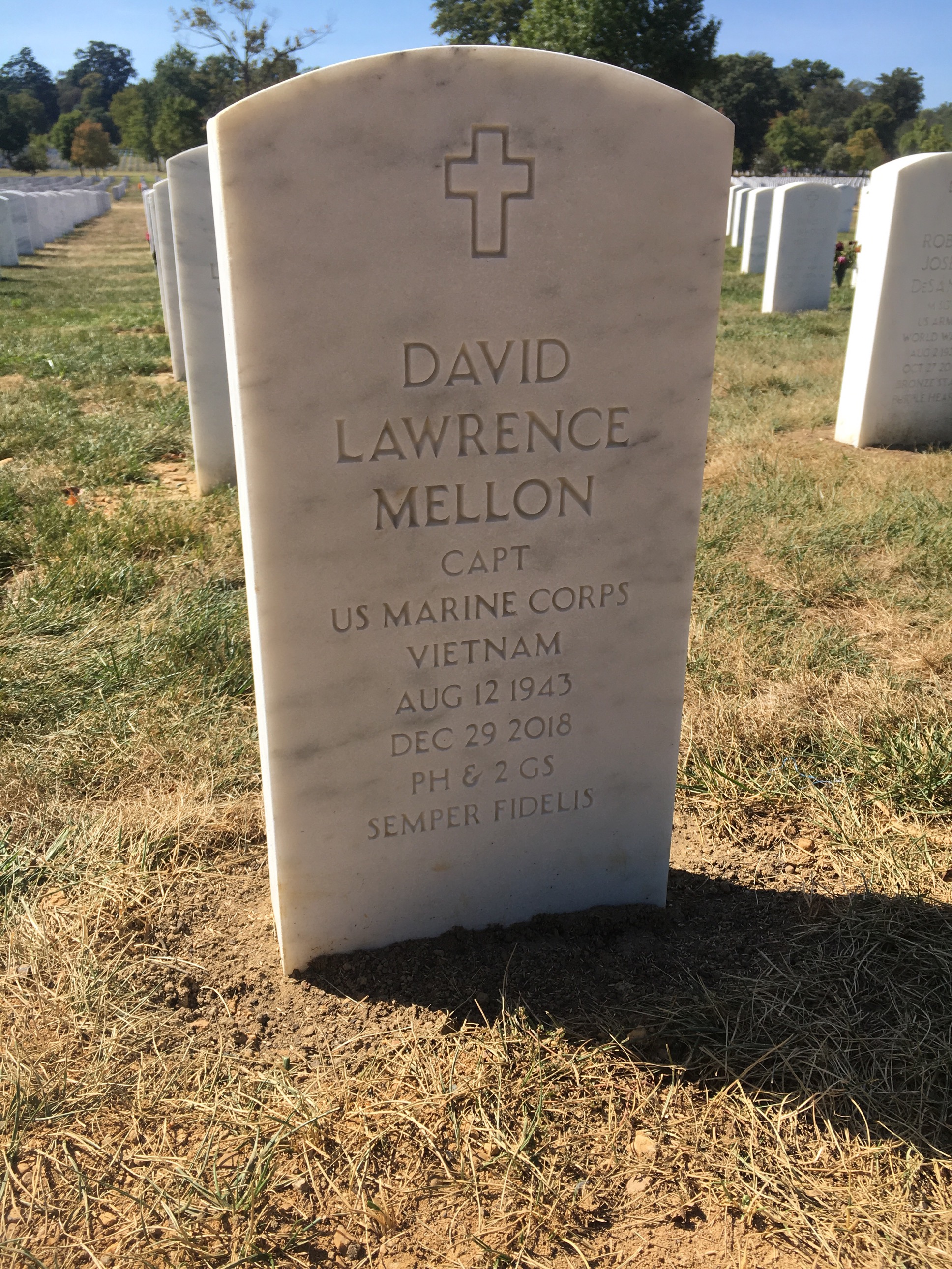 David Mellon