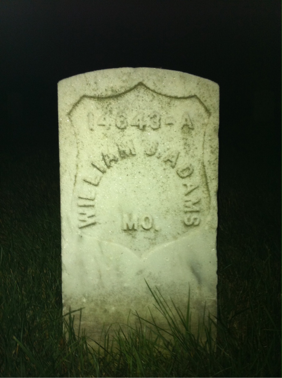 William Adams