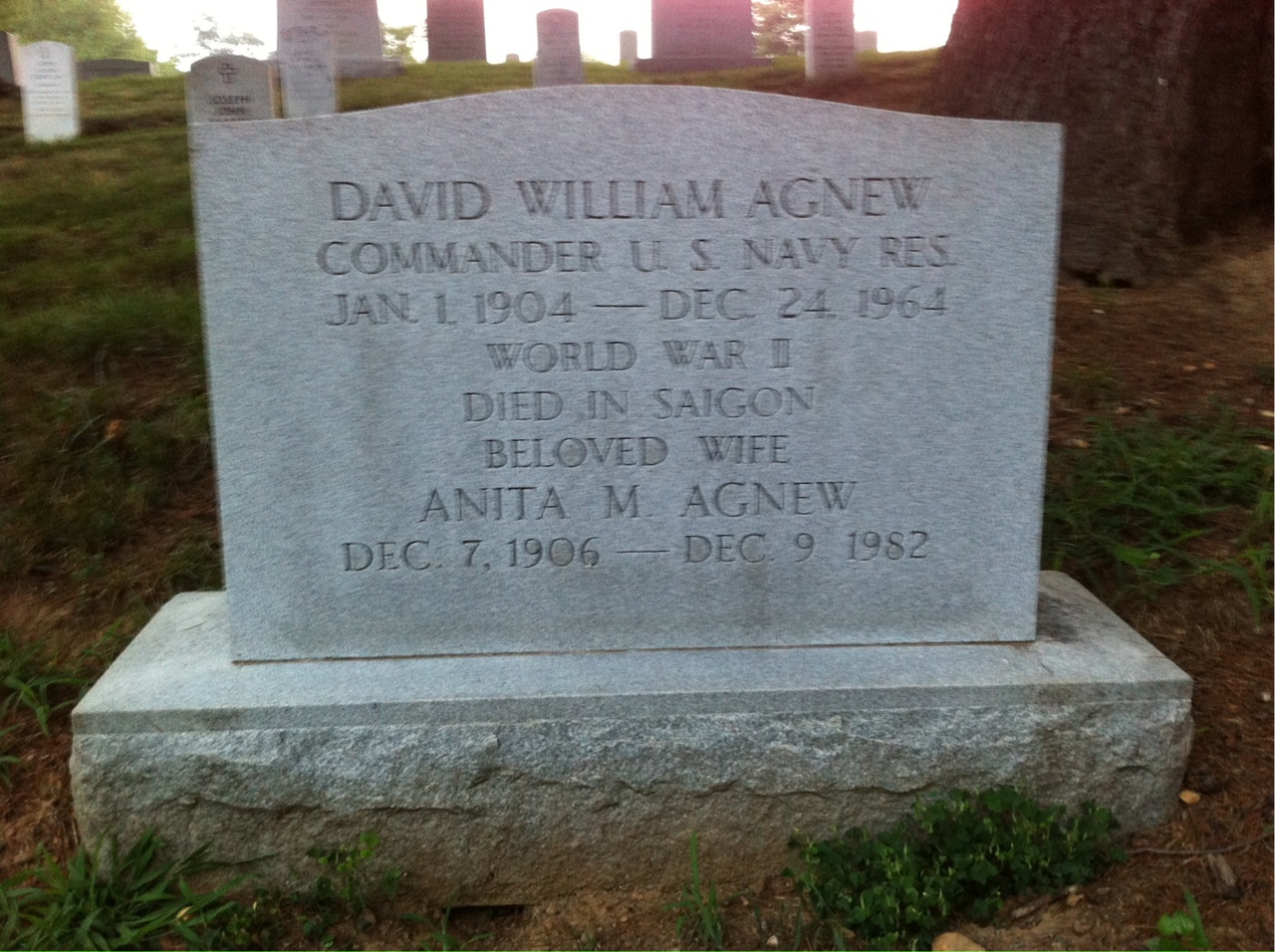 Anita Agnew