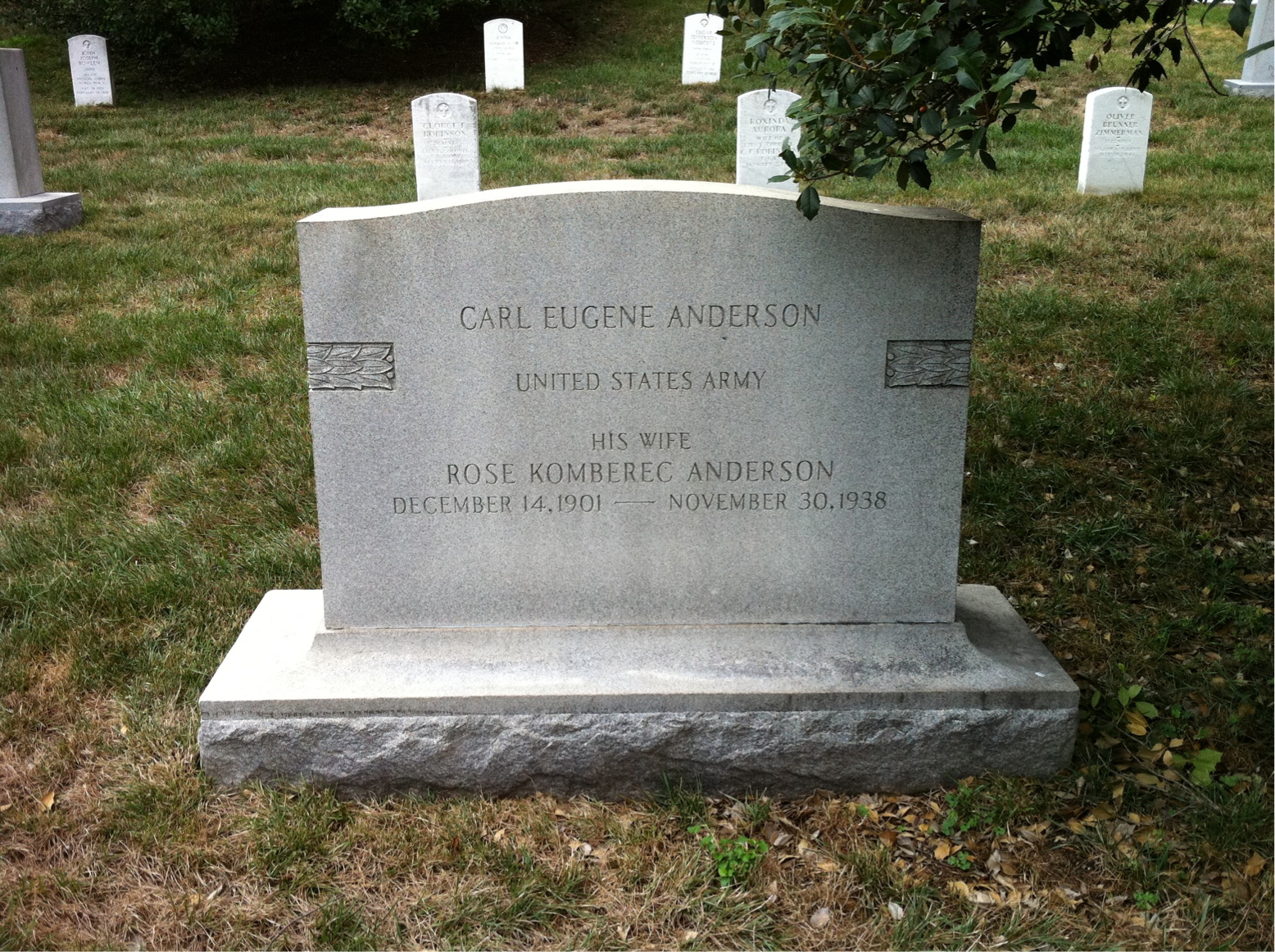 Rose Anderson