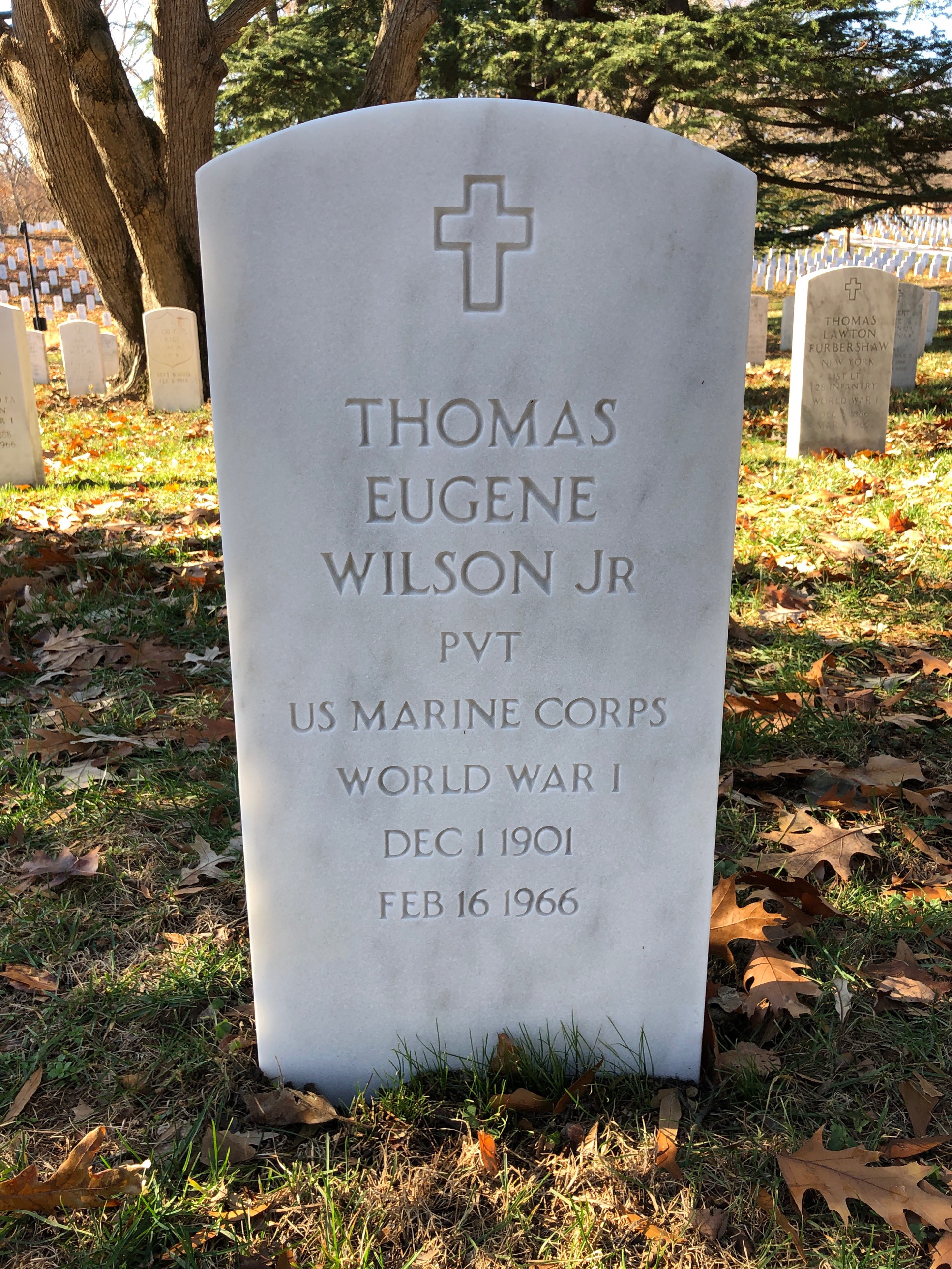 Thomas L Wilson