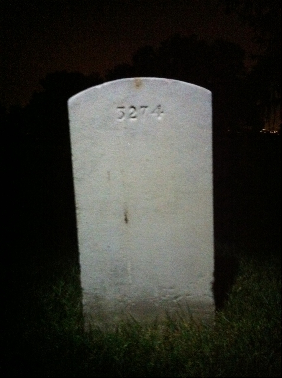 Back of headstone — William Altemus