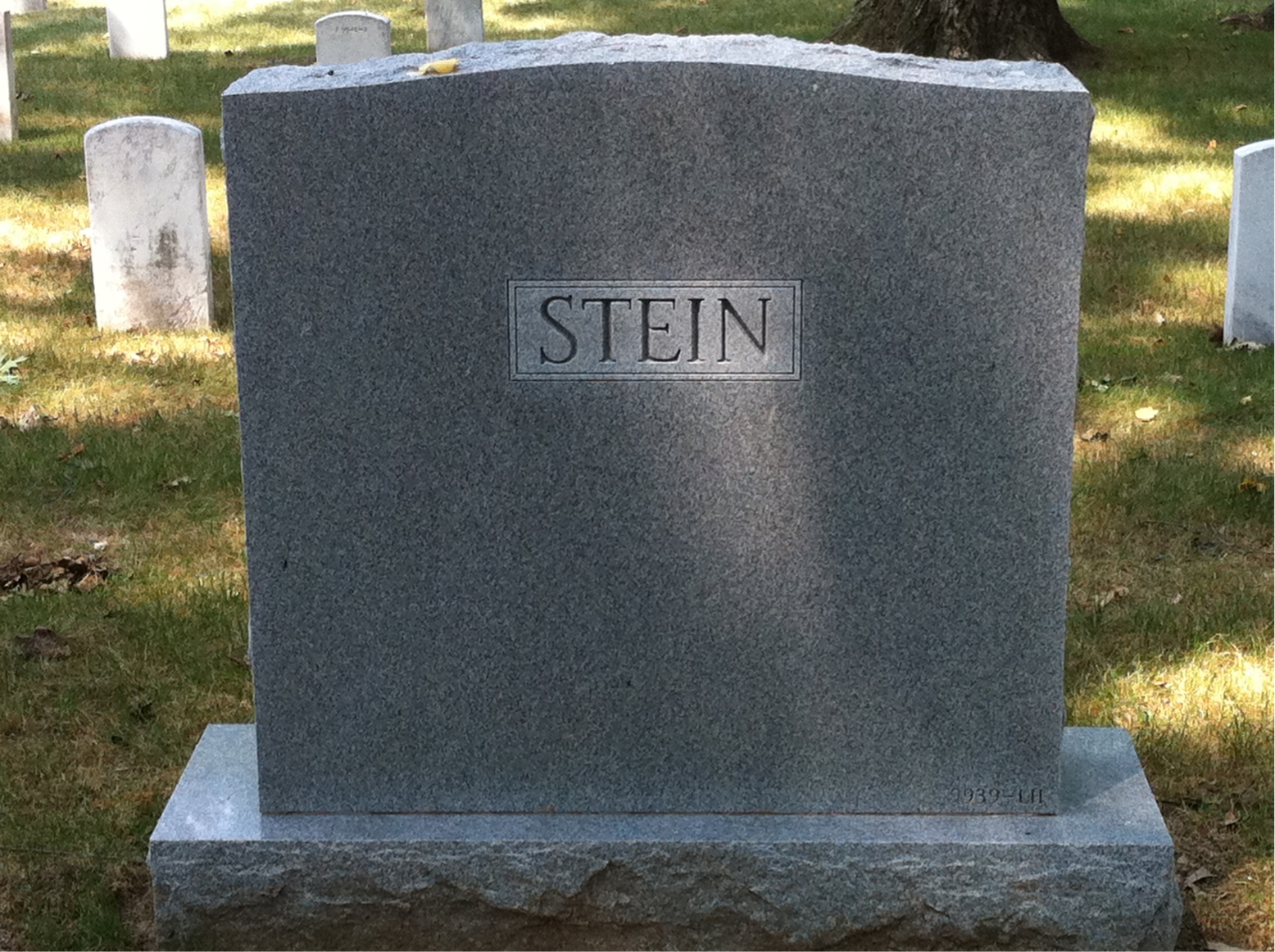Back of headstone — Charles Stein
