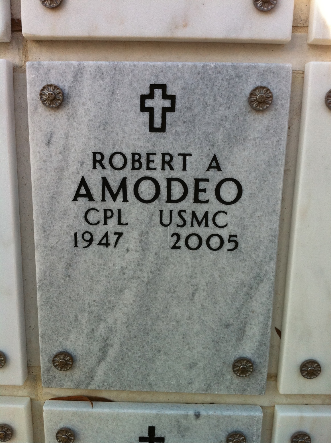 Robert Amodeo