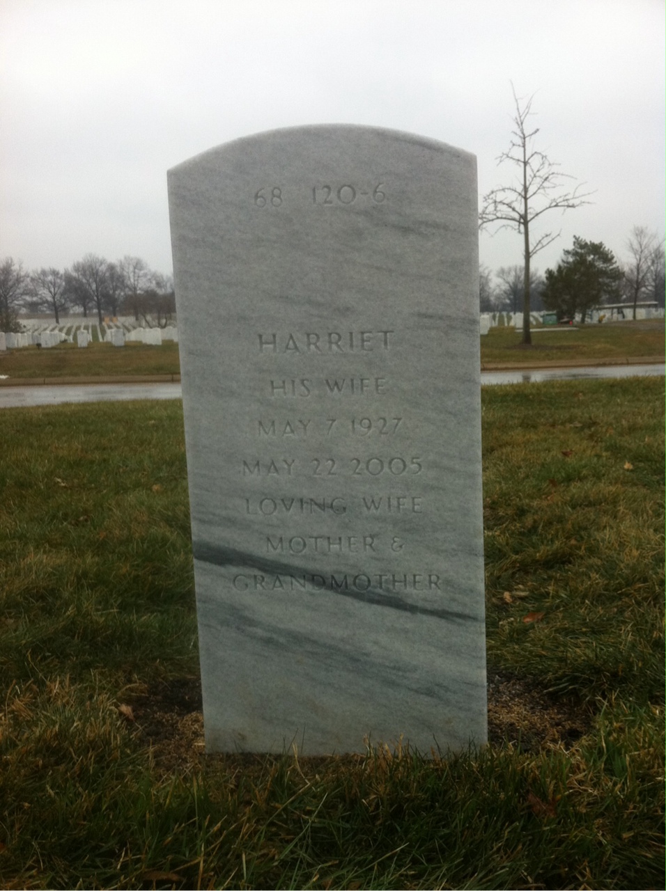 Back of headstone — Sydney Cohen