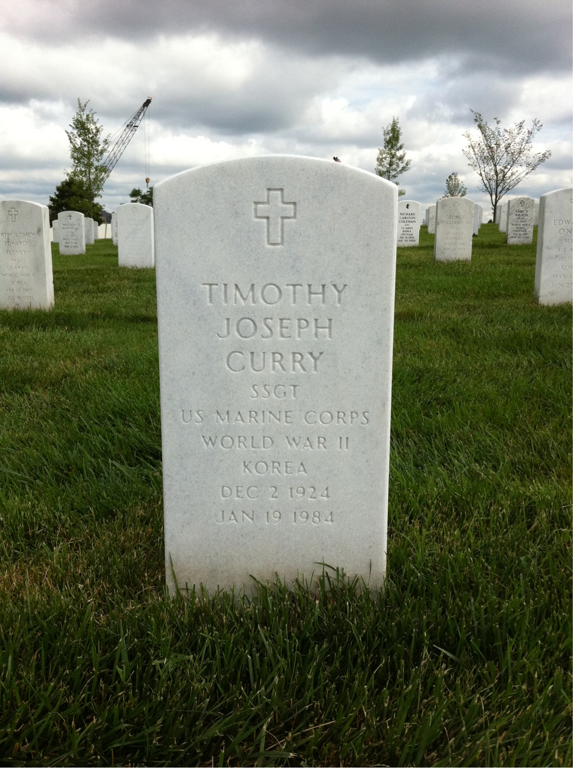 Timothy J Curry
