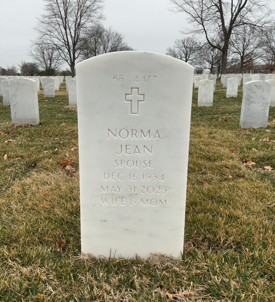 Back of headstone — Leon Aplet