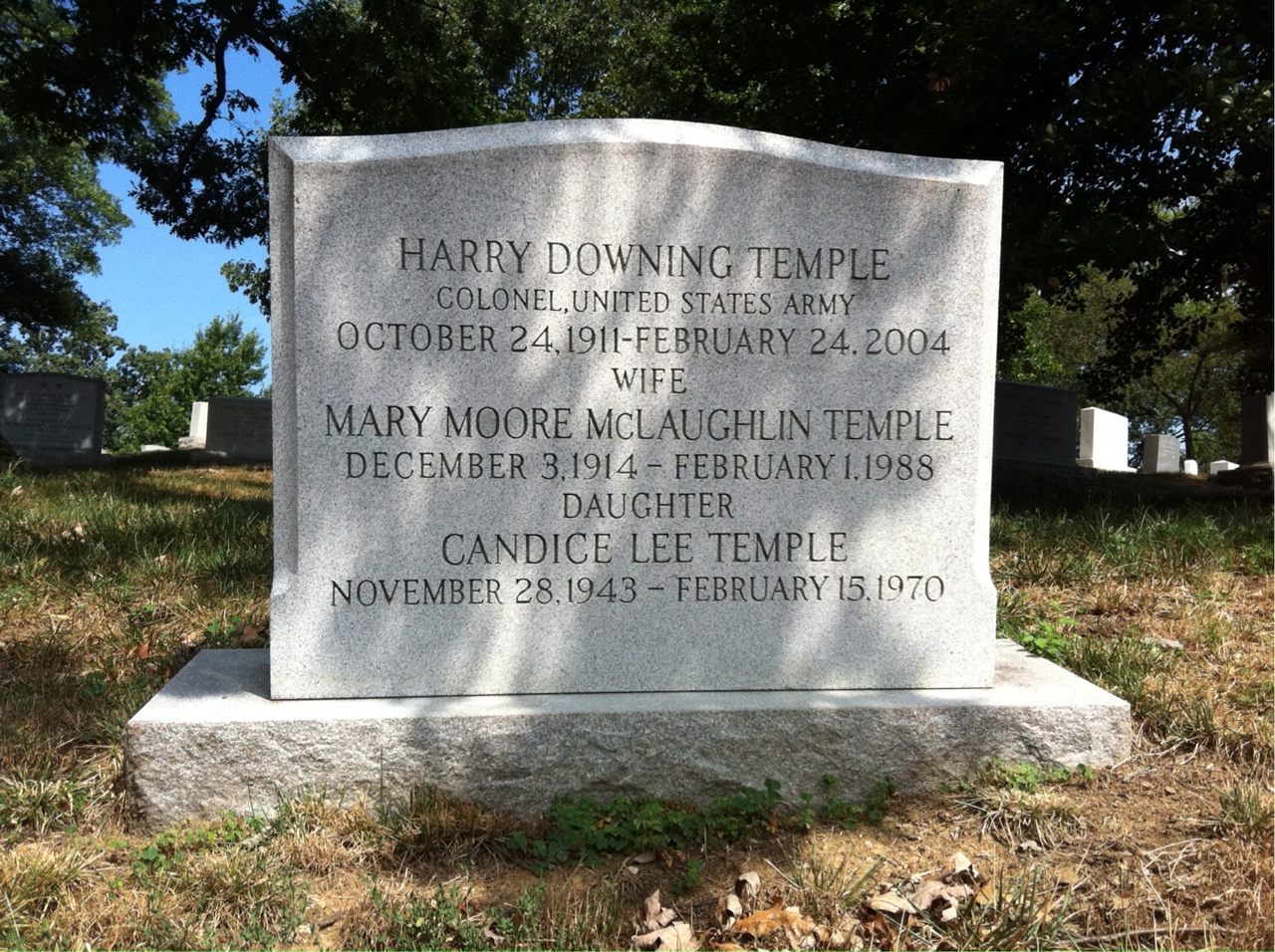 Harry Temple