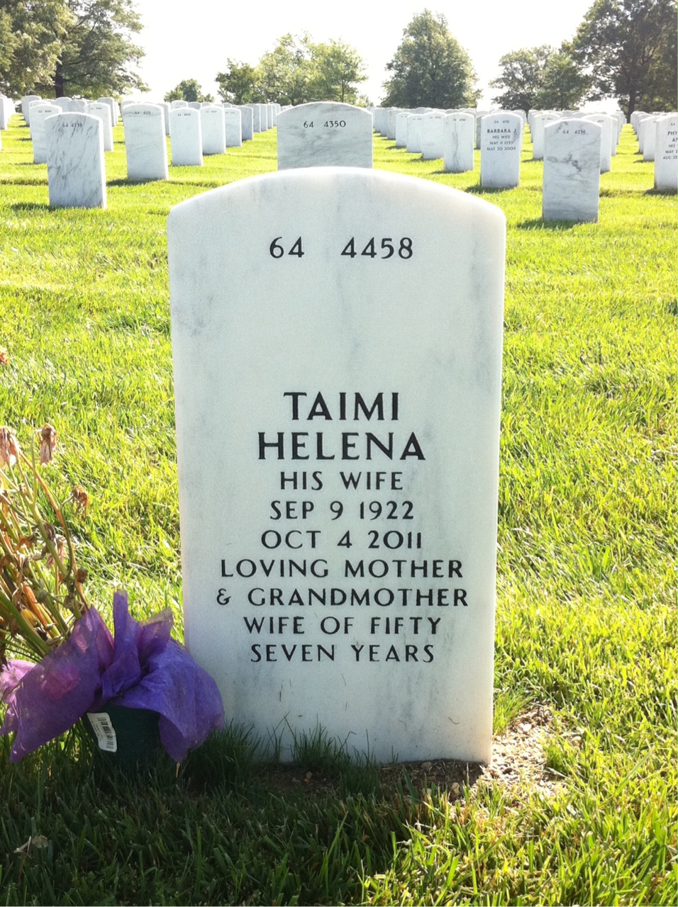 Back of headstone — John Shannon